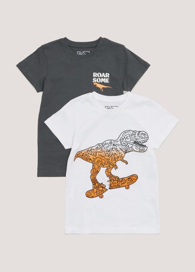 Boys 2 Pack Grey Dinosaur Print T-Shirts (4-13yrs)