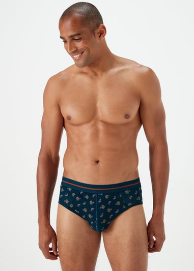 4 Pack Pattern Briefs