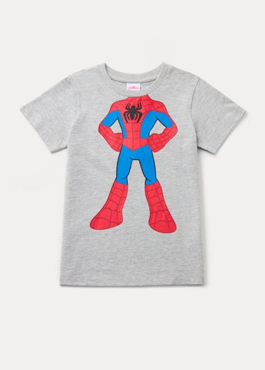 Boys Grey Spider-Man T-Shirt (9mths-6yrs)