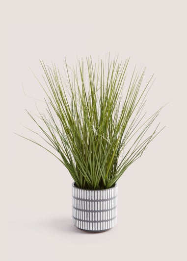 Monochrome Grass Plant (42cm)