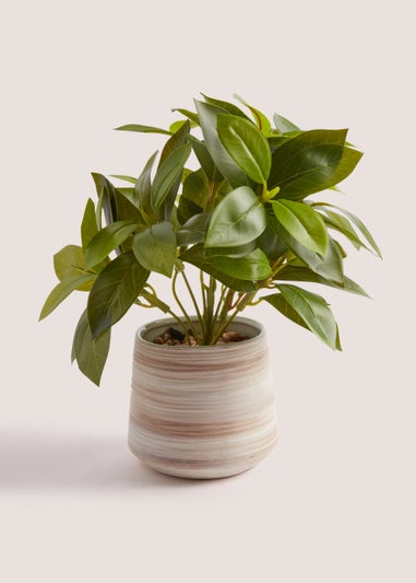 Leafy Plant Washed Pot (40cm)