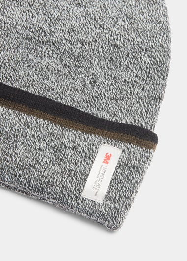 Grey Stripe Thinsulate Beanie
