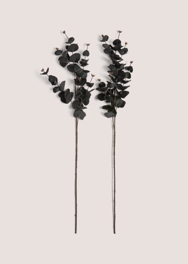 2 Pack Black Eucalyptus Spray Double Stem (85cm)