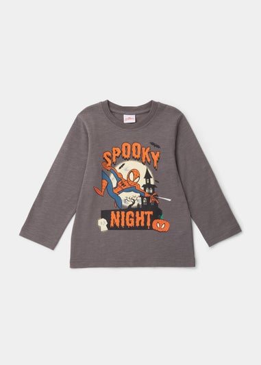 Kids Charcoal Halloween Spider-Man T-Shirt (3-8yrs)
