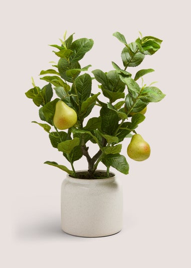 Outdoor Artifical Pear Tree (30cm x 30cm x 45cm)