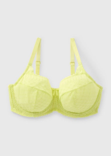 Lime Stretch DD Lace Bra