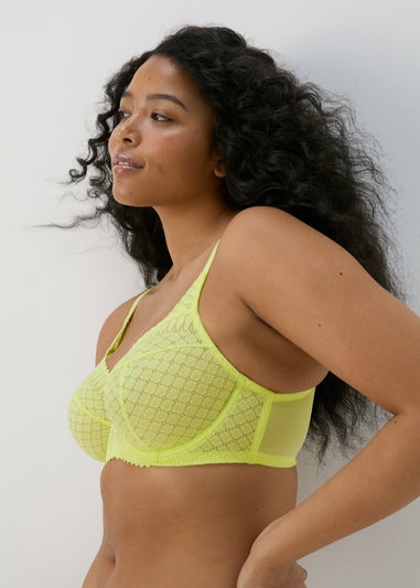 Lime Stretch DD Lace Bra