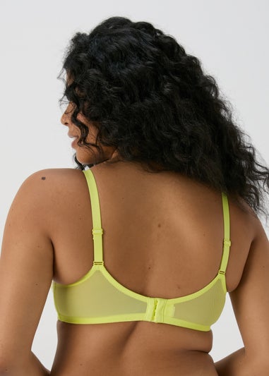 Lime Stretch DD Lace Bra