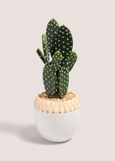 Cactus Plant (50cm x 22cm x 18cm)
