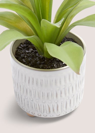 Faux Plant In White Footed Pot (23cm x 21cm x 21cm)