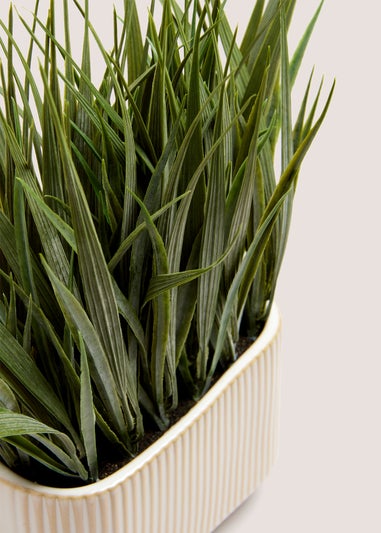 Grass Ribbed Pot (35cm x 35cm x 20cm)