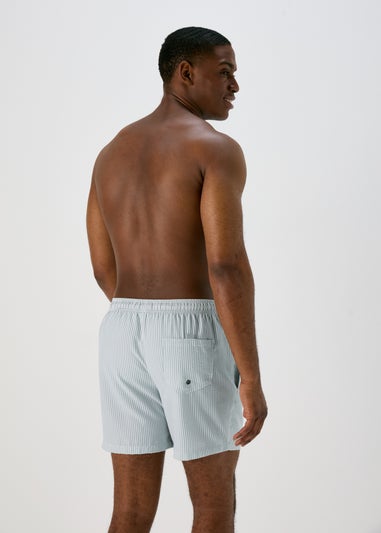 Sage Stripe Seersucker Swim Shorts