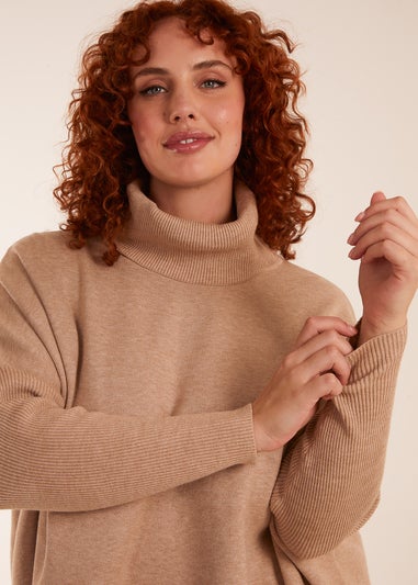 Blue Vanilla Beige Curve High Neck Boxy Jumper