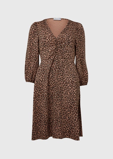 Brown Leopard Print Ruched Mini Dress