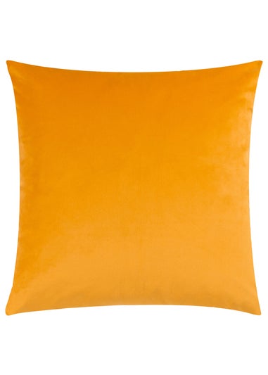 Heya Home Raeya Velvet Filled Cushion (45cm x 45cm x 8cm)