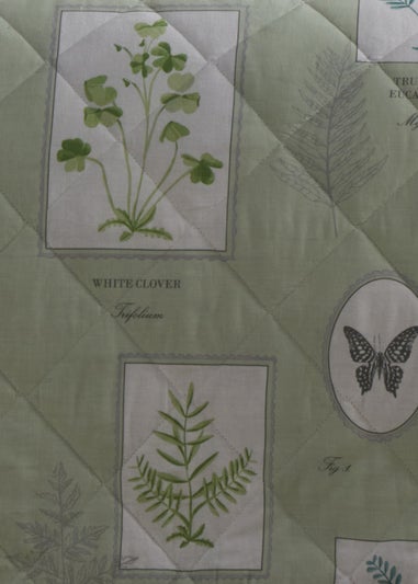 Dreams & Drapes Design Floral Garden Green Bedspread