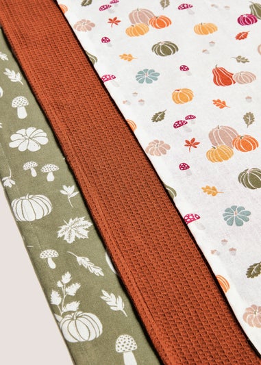 3 Pack Autumn Pumpkin Tea Towels (60cmx45cm)