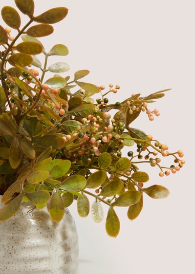 Autumn Plant In Ceramic Pot