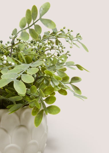 Green Plant In Artichoke Pot