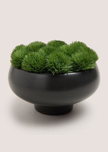 Black Moss Bowl (20x15x15cm)