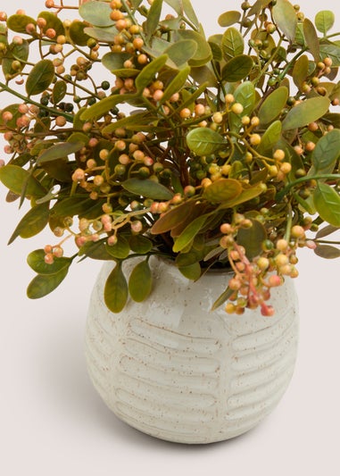 Green Shrub in Cream Vase (20cmx20cmx34cm)