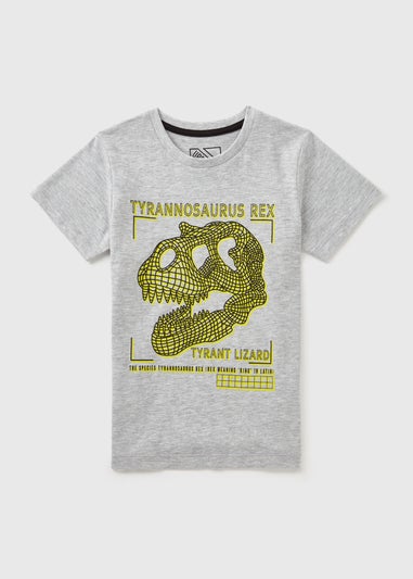 Boys Grey T-Rex T-Shirt (7-15yrs)