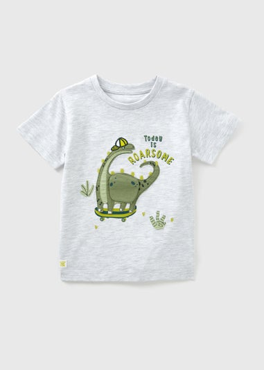 Boys Grey Skating Dinosaur T-Shirt (1-7yrs)