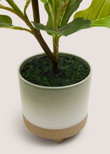 Leafy Plant In Reactive Pot