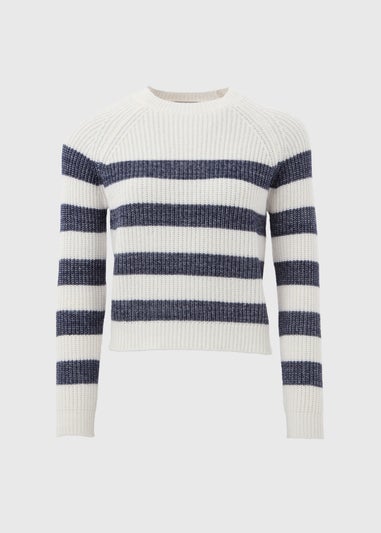 Navy Stripe Knitted Jumper