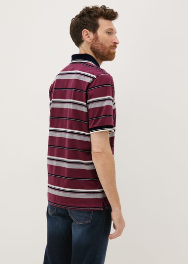 Lincoln Burgundy Stripe Polo Shirt