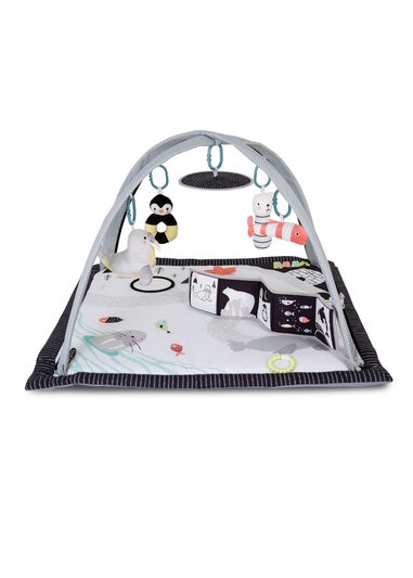 Red Kite Play Gym Arctic Dreams Padded (49cm x 79cm x 79cm)