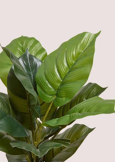 Silver Ribbed Pot With Leafy Plant