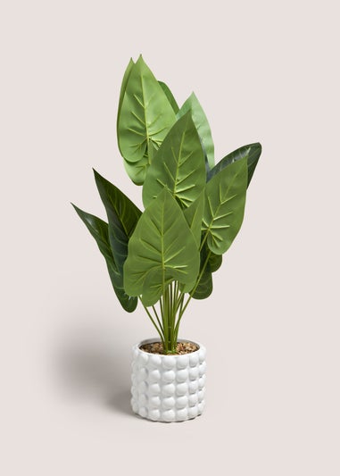 White Bobble Plant (65cm x 40cm x 40cm)