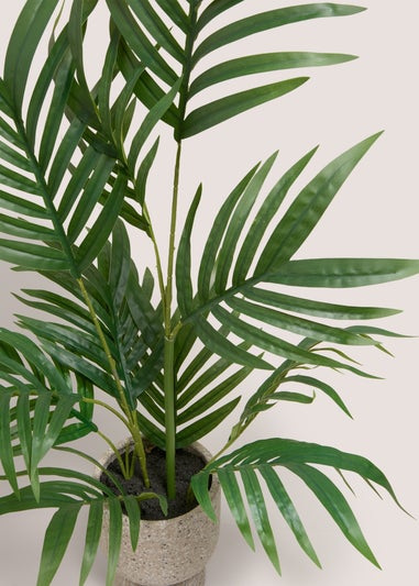 Palm Plant in Stone Pot