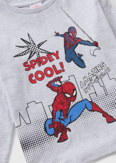 Marvel Kids Grey Spider-Man T-Shirt (1-7yrs)