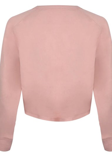 NASA Dusty Pink National Aeronautics Crop Sweatshirt