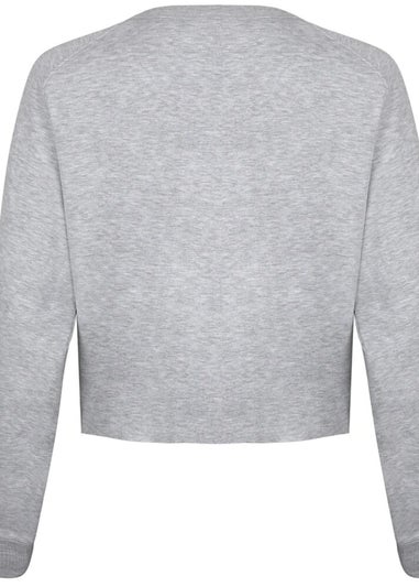 NASA Grey National Aeronautics Crop Sweatshirt