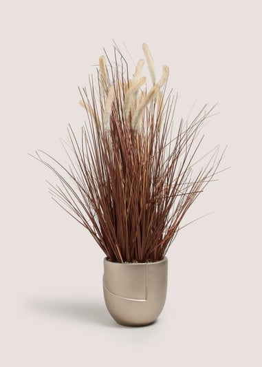 Gold Grass Plant (44cm x 24cm x 83cm)