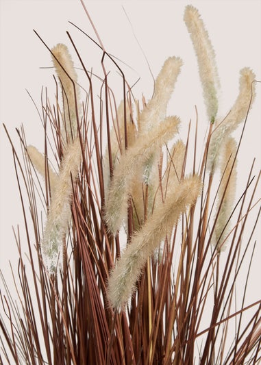 Gold Grass Plant (44cm x 24cm x 83cm)