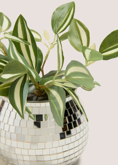 Silver Disco Ball Plant (12cm x 12cm x 22cm)