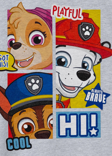 Paw Patrol Kids Grey Peekaboo T-Shirt (3-8yrs)