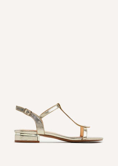 Linzi Lavish Gold Lizard T-Bar Looped Low Block Sandal