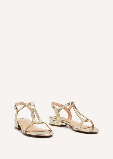 Linzi Lavish Gold Lizard T-Bar Looped Low Block Sandal