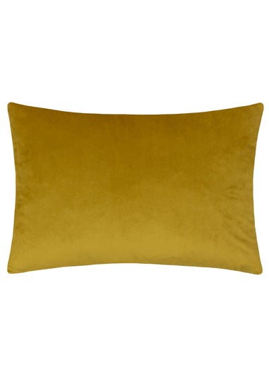 Paoletti Keela Cut Velvet Filled Cushion (35 x 50 x 8 cm)