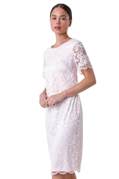 Roman Petite Light Pink Lace Overlay Stretch Dress