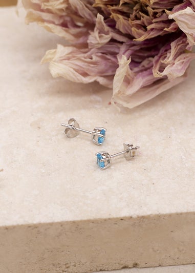 Golden Moments Sterling Silver Blue CZ Stud Earrings