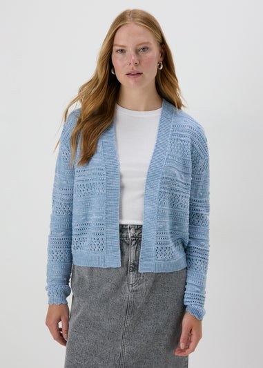 Blue Cardigan