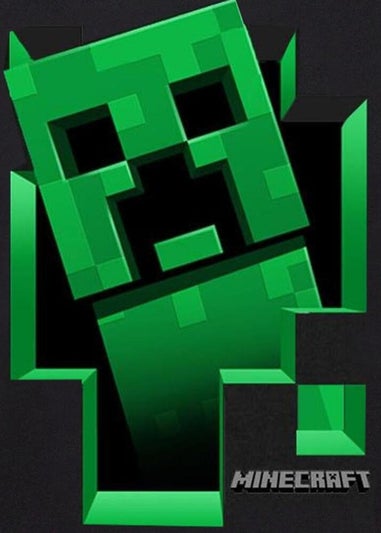 Minecraft Boys Black Creeper Inside T-Shirt (7-15yrs)