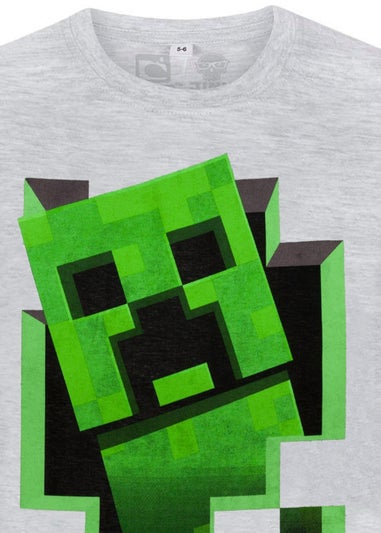 Minecraft Boys Grey Creeper Inside T-Shirt (7-15yrs)