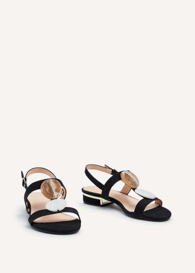 Linzi Ainsley Black Suede Flat T-Bar Sandal